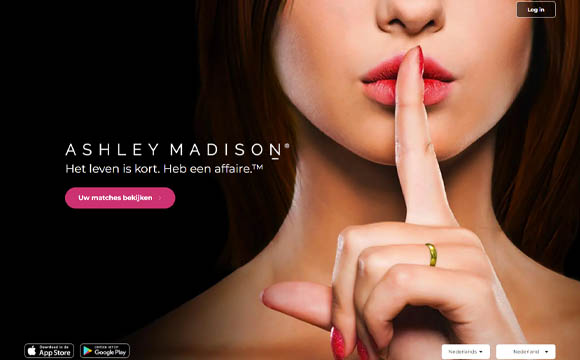 Ashley madison home page